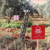 The Cluster Munition Monitor Releases Its Annual 2023 Report with Participation from The White Helmets